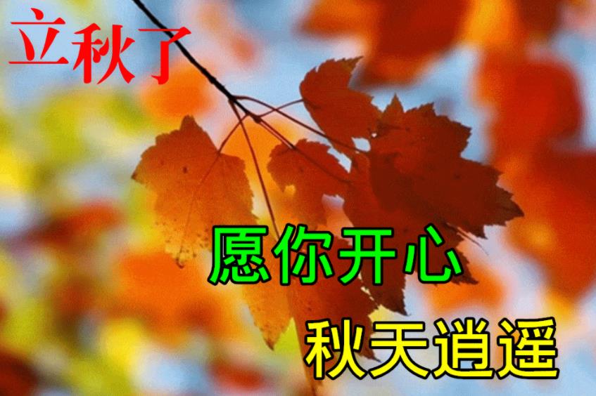 今日立秋图片大全(4)