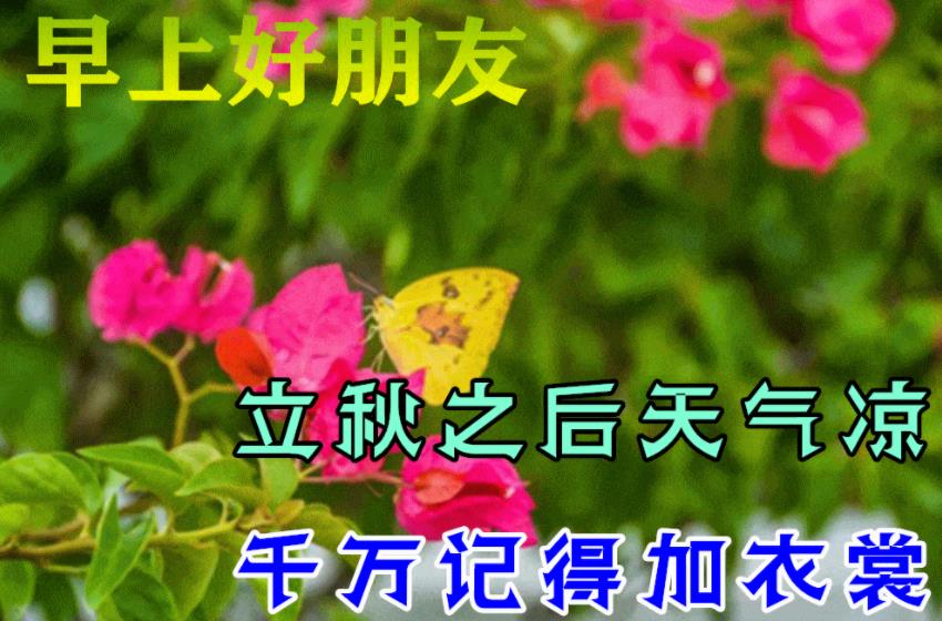 今日立秋图片大全(1)