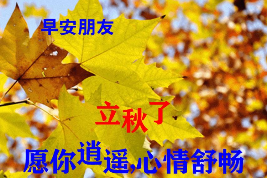 今日立秋图片大全(2)