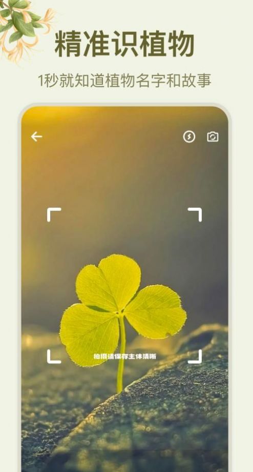 拍照识花大师(2)