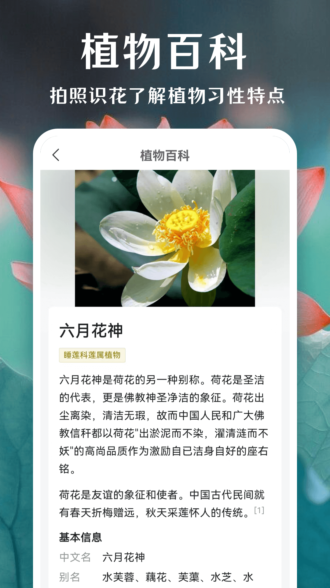 一键拍照识花(1)