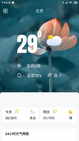 称心天气(2)