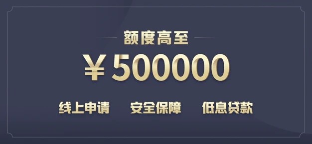 好来贷(2)