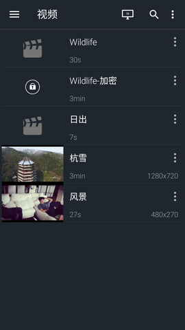 金狮播放器(2)