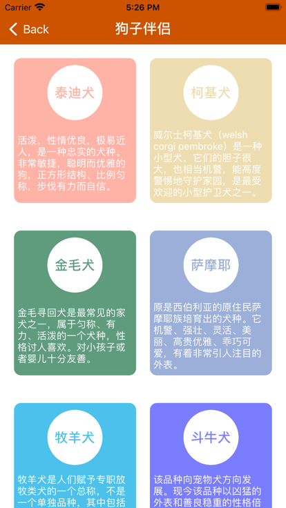 宠狗有加(3)