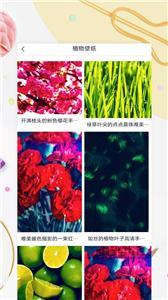 Mix壁纸(2)