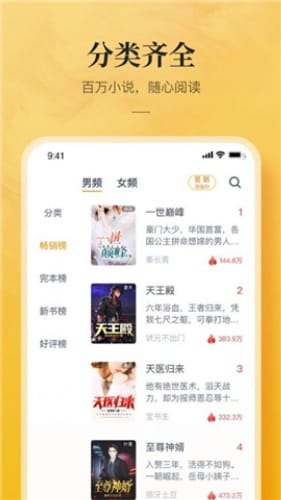 银翼小说(1)