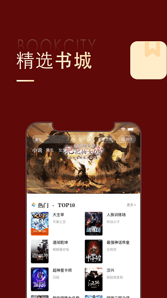 全民追书大师小说