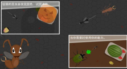 蚂蚁进化世界(3)