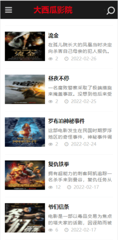 大西瓜影院.png