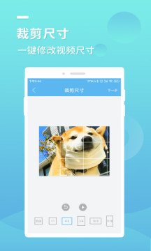 蓝莓去水印(1)