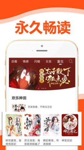 懒猫小说(2)
