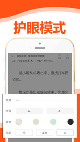 懒猫小说(1)