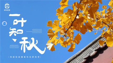 烧包谷直播