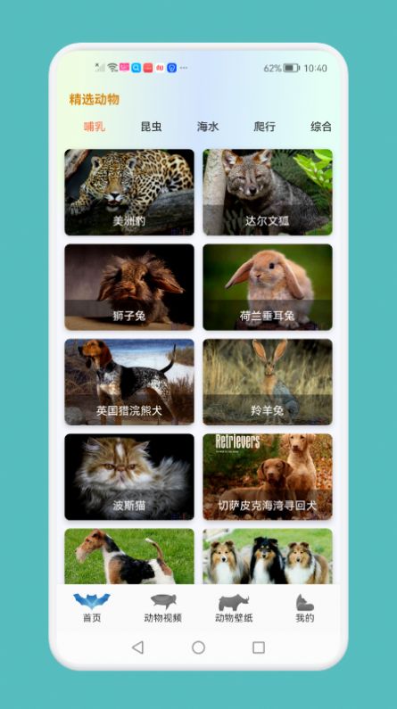 动物吧.jpg