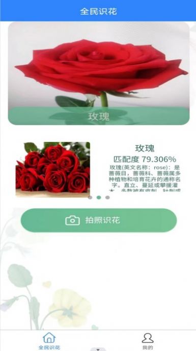 全民识花.jpg