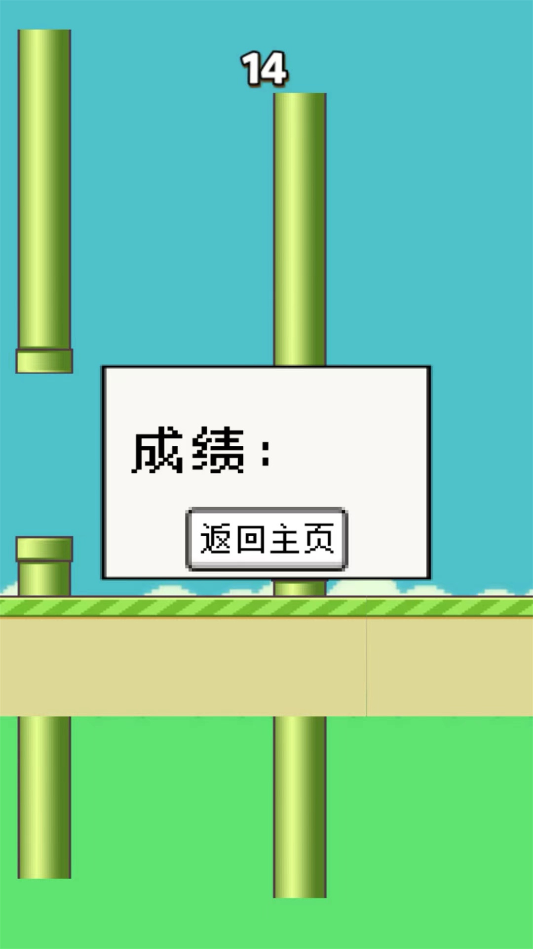 笨鸟努努.jpg