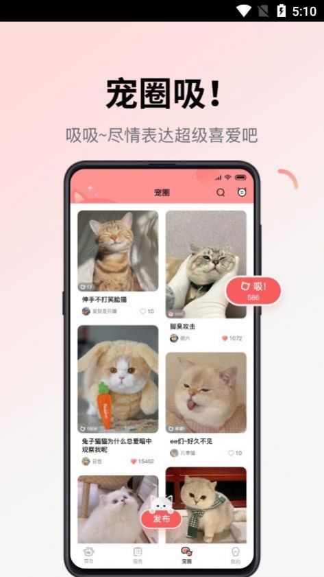 多仔宠物.jpg
