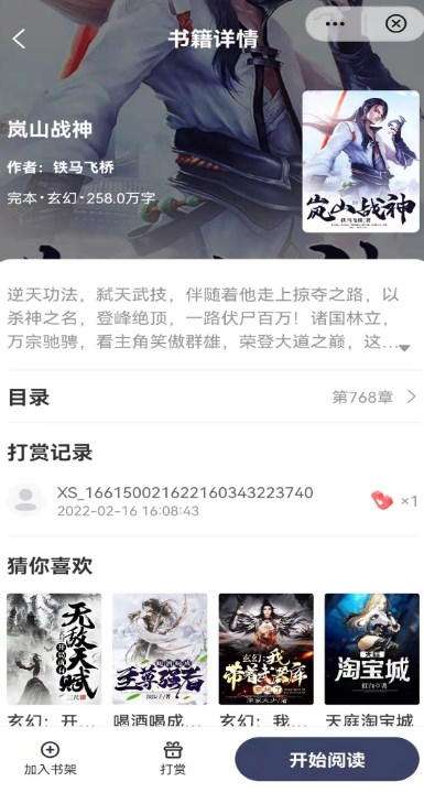 飞象小说(2)