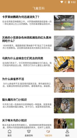 飞禽大全.jpg