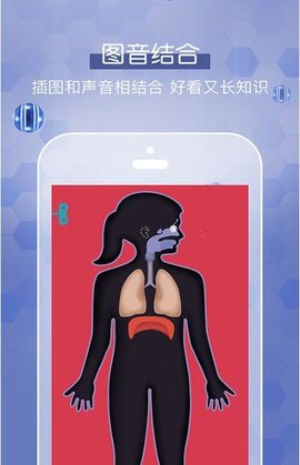 人体探秘.jpg