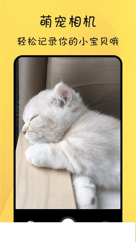 猫友舍.png