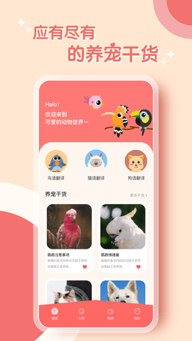 鹦鹉翻译器.png