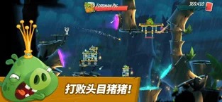 愤怒的小鸟2正版(3)