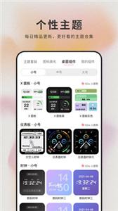 萌猫桌面壁纸.jpg