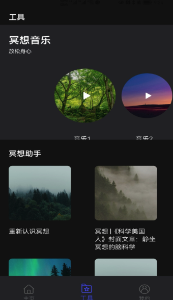 正念木鱼(1)