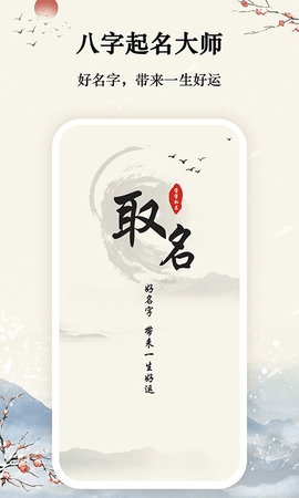 八字宝宝取名大师.png