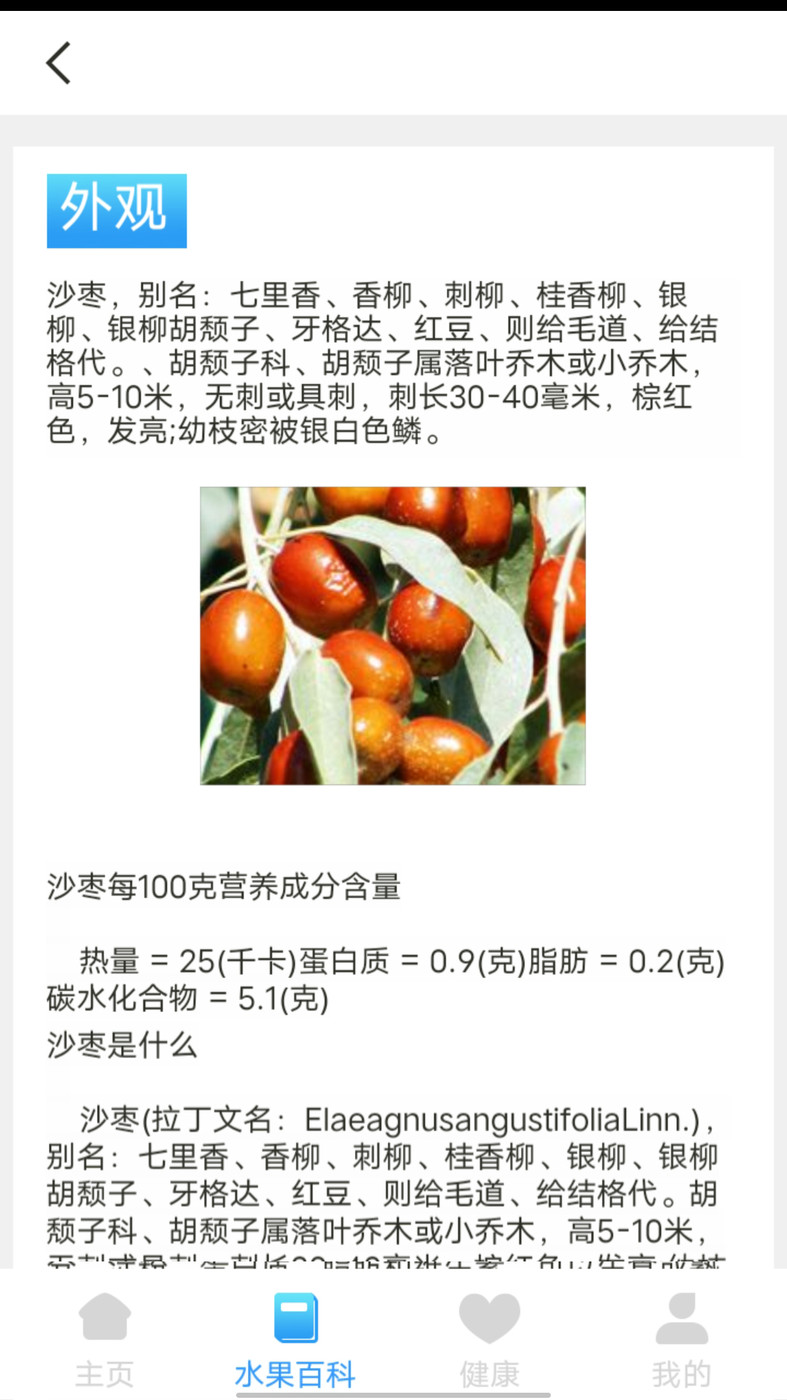 口袋水果.jpg