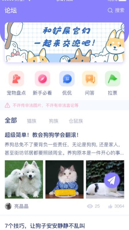宠它.jpg