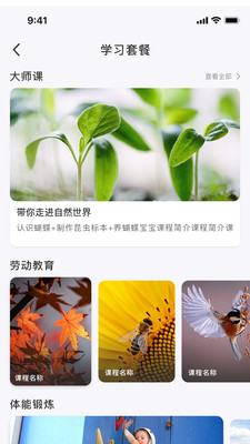 自然树.jpg