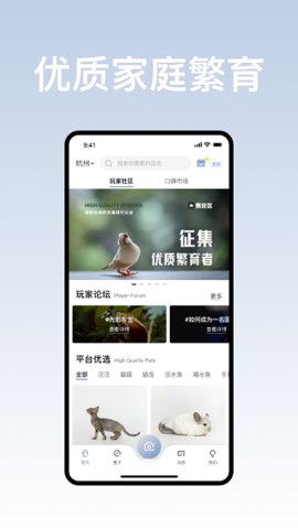 集宠区.jpg