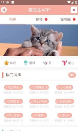 博猫管家.jpg