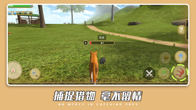 可爱萌宠世界.jpg