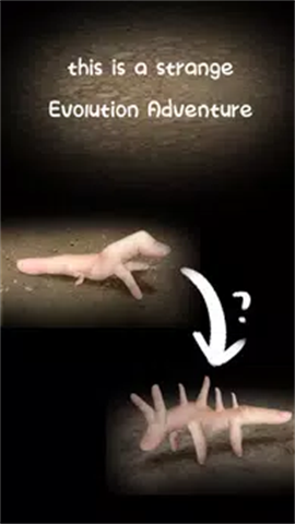 手指错觉.png