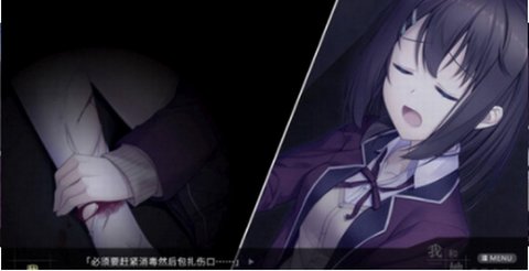 我和她的世界末日.jpg