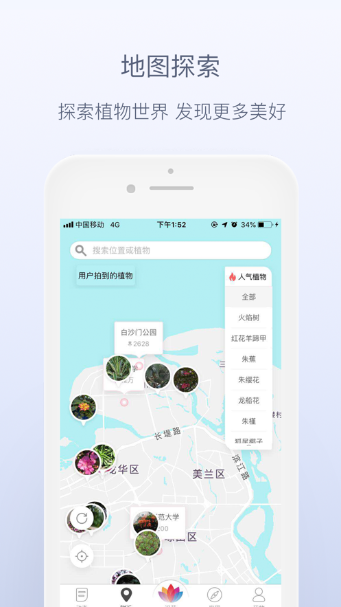 花伴侣.png