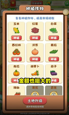 幸福集市.jpg