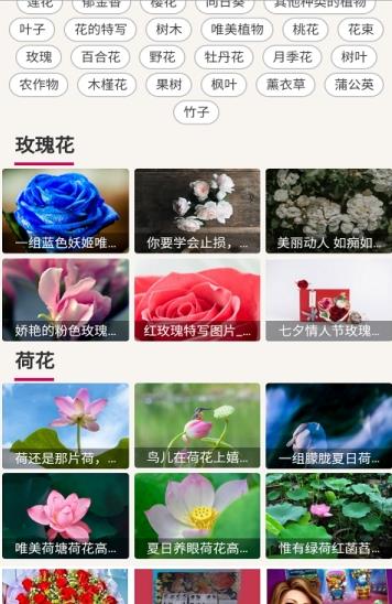 哇图库.jpg