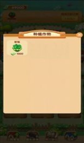 我家小院儿.jpg