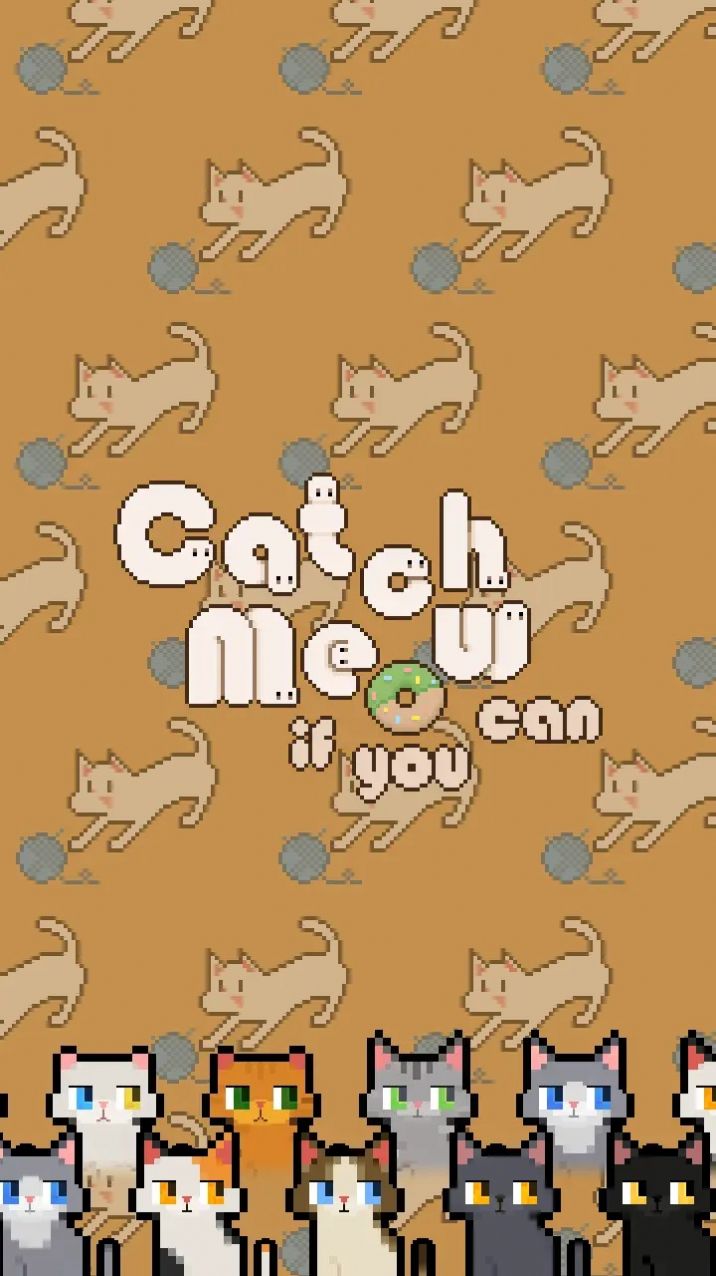 数猫猫.jpg