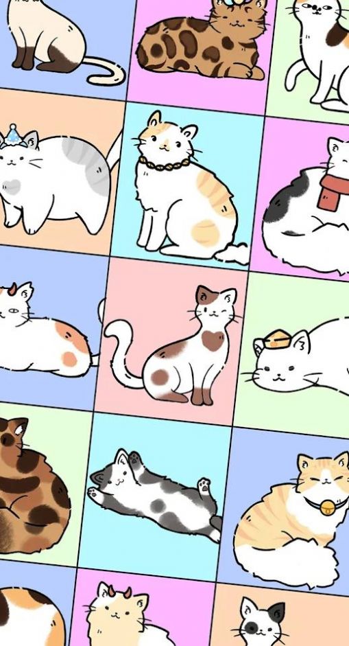 萌猫制造商.jpg