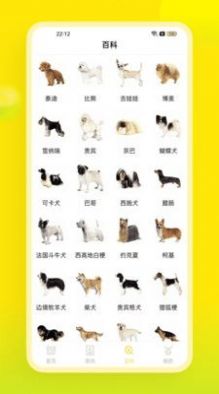 易超科.jpg