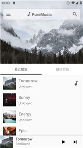 puremusic纯音乐(2)