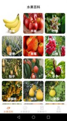 果园看看.jpg