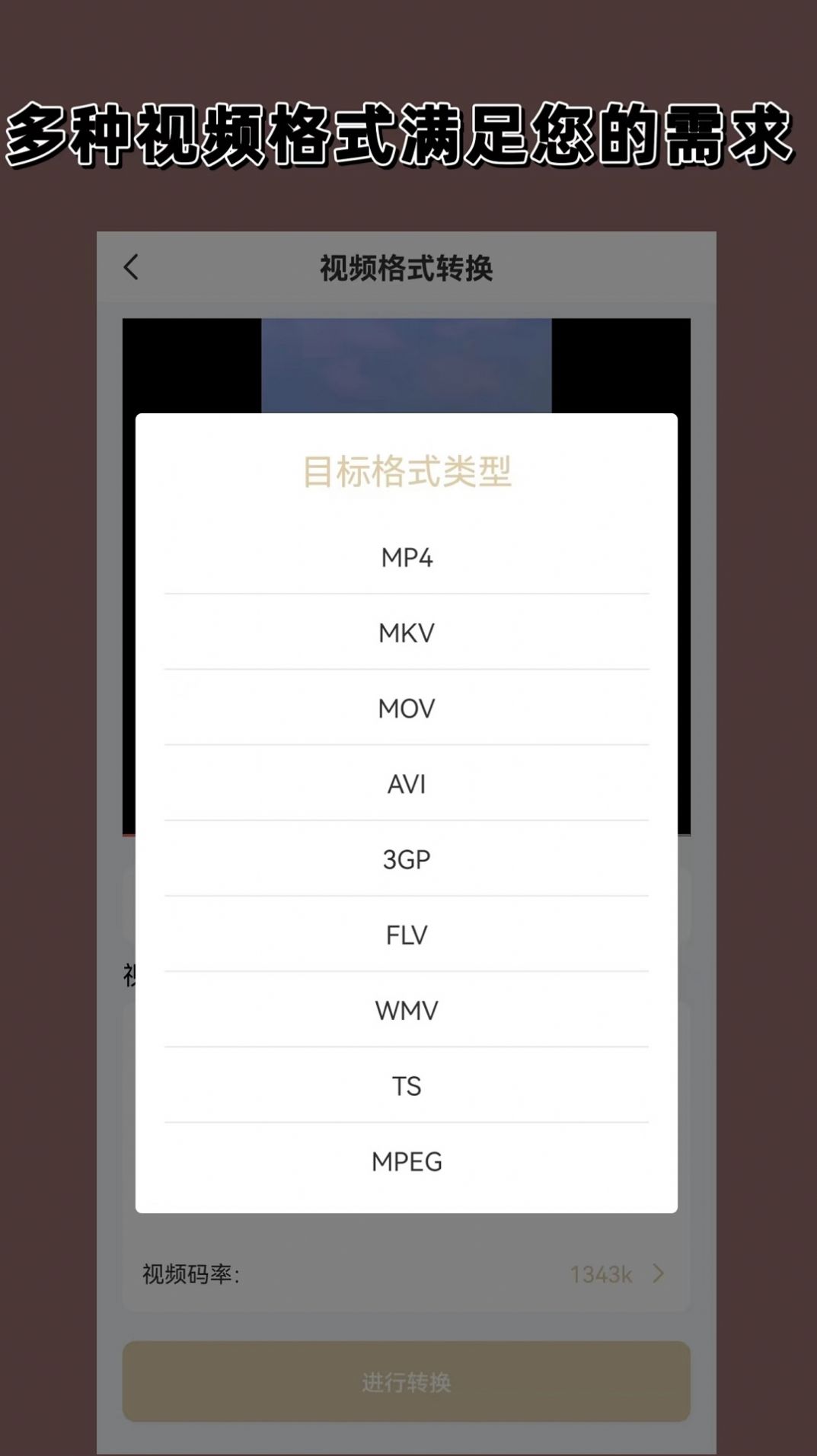视频音频格式转换器大师.jpg