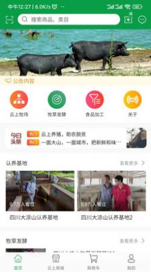 云上寻真.jpg